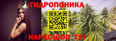 PSILOCYBIN Краснокаменск