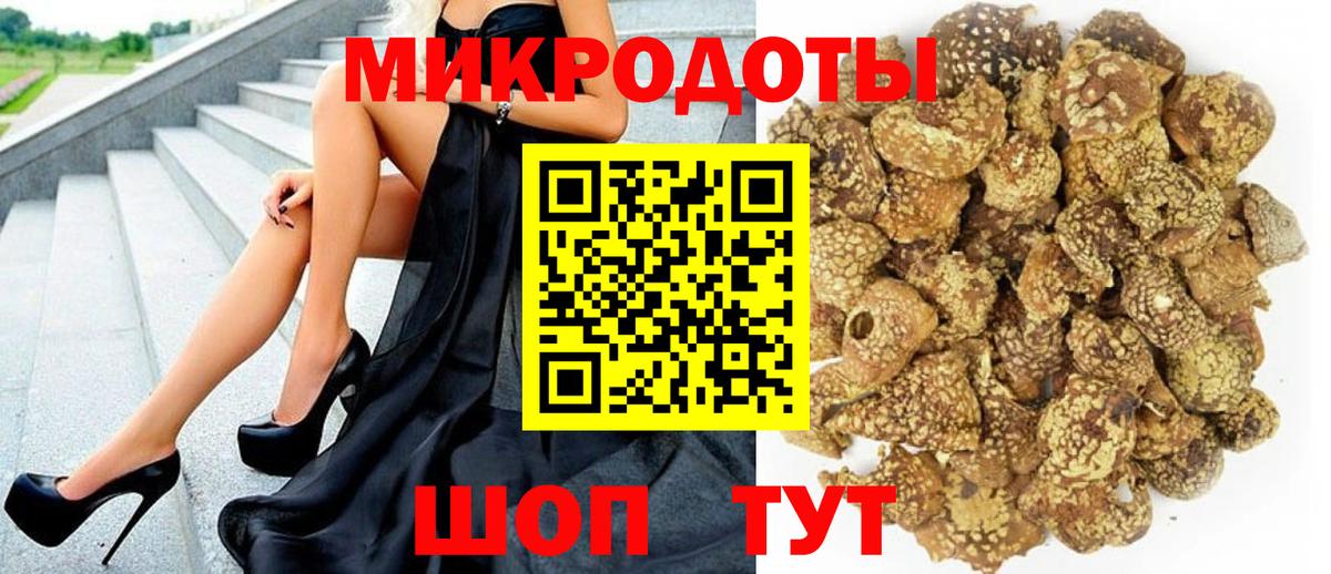 Кохма  где купить   Вход с VPN  Галлюциногенные грибы Psilocybe 